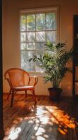 A chair sitting in front of a window photo