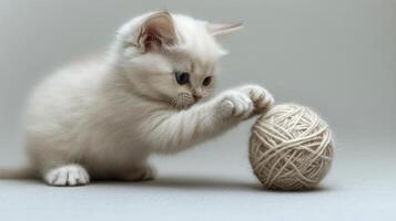 A kitten playing with a ball of yarn photo