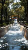 A water slide that is going down a river photo
