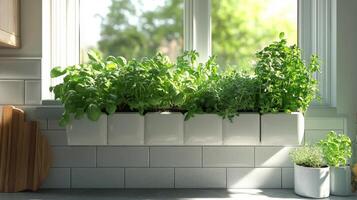 A window sill with plants in pots on it photo