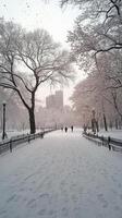 A snowy park with trees and people walking photo