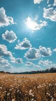 A field with flowers and clouds under a blue sky photo
