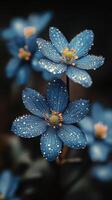 Photograph blue flowers by josephine de la rosa on 500px photo