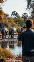 A man taking a picture of elephants photo