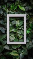 Green leafy wall with white frame and copy space for text photo