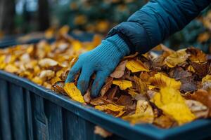 A person in blue gloves picking up leaves from a container photo