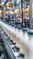 Milk bottles on conveyor belt in factory photo