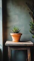 A potted plant sits on a wooden table photo