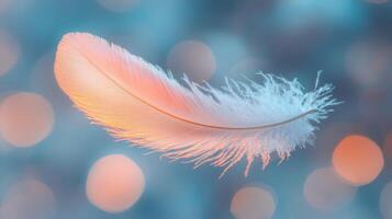 A white feather on a blue background photo