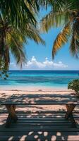 Wooden bench on the beach under palm trees photo