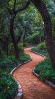 A path in a park with trees and green plants photo