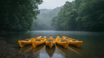 A group of four yellow kayaks photo