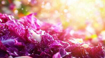 Purple cabbage is shown in the foreground with sunlight photo