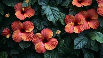 A group of orange flowers are on a plant photo