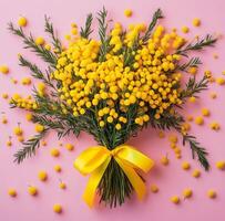 Yellow mimosa flowers on pink background with yellow ribbon photo