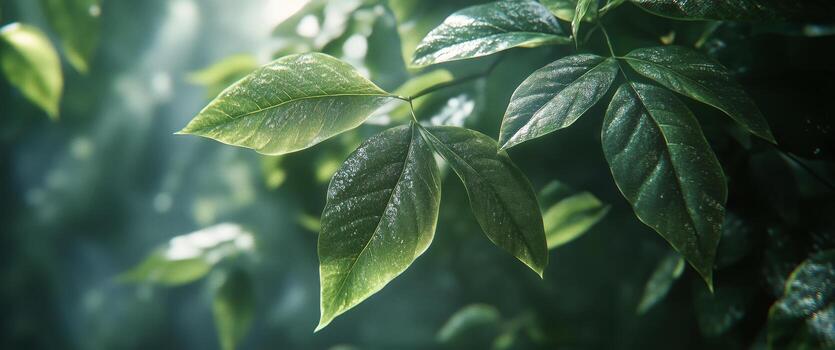A close up of green leaves on a tree photo