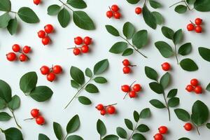 Red berries and green leaves on a white surface photo