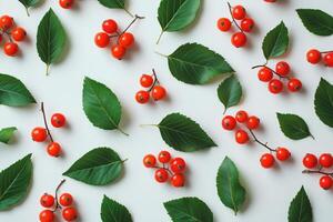 Red berries and leaves on a white surface photo