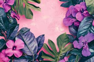Tropical flowers and leaves on a pink background photo