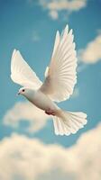 A white dove flying in the sky photo