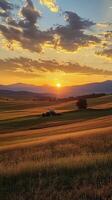 A sunset over a field with a tractor in the foreground photo