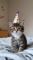 A kitten wearing a party hat on a bed photo