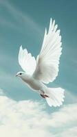 White dove flying in the sky photo