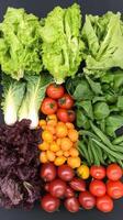 A variety of vegetables arranged in a square photo