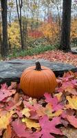 A pumpkin sitting on the ground surrounded by fall leaves photo