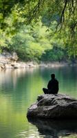 A person sitting on a rock overlooking a lake photo