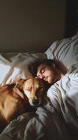 A man and his dog sleeping in bed photo