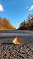 A lone leaf sits on the side of the road photo