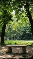 A stone bench sitting in the middle of a park photo