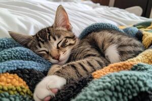 A kitten sleeping on a blanket on a bed photo