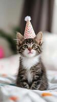 A kitten wearing a party hat sits on a bed photo