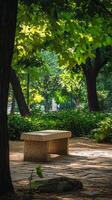A bench sitting in the middle of a park photo