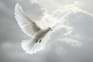 White dove flying in the sky with clouds photo