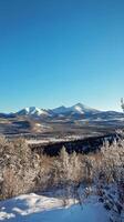 A view of the mountains from a snowy hillside photo