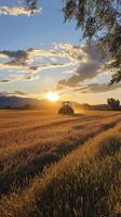 A tractor is in the middle of a field at sunset photo