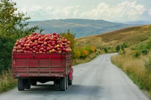 A truck is driving down a road with a lot of apples in the back photo