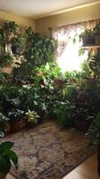 A room with lots of plants and a rug photo