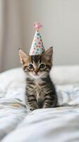 A small kitten wearing a party hat on a bed photo