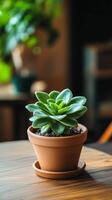 A small succulent plant is sitting in a clay pot on a wooden table photo