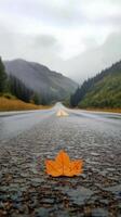 A lone leaf sits on the side of a road photo