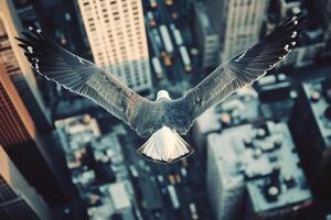 A bird flying over a city with tall buildings in the background photo
