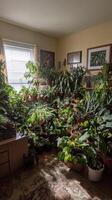 A room filled with lots of plants and plants photo