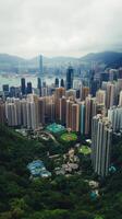 A view of hong kong from the top of a mountain photo