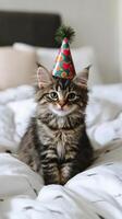 A cat wearing a party hat sitting on a bed photo