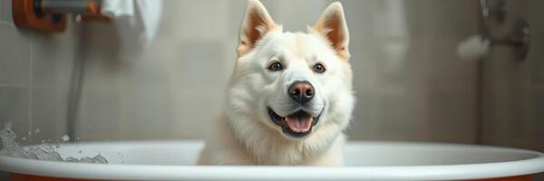 A happy white dog enjoying a bath in a modern bathtub at home during the afternoon photo