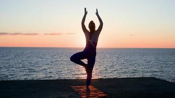 Experienced yoga instructor balancing in tree pose on mat, silhouetted against serene sunset near ocean, embodying mindfulness and inner harmony video